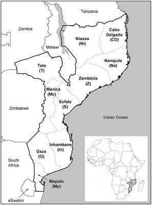 Early effects of COVID-19 on maternal and child health service disruption in Mozambique